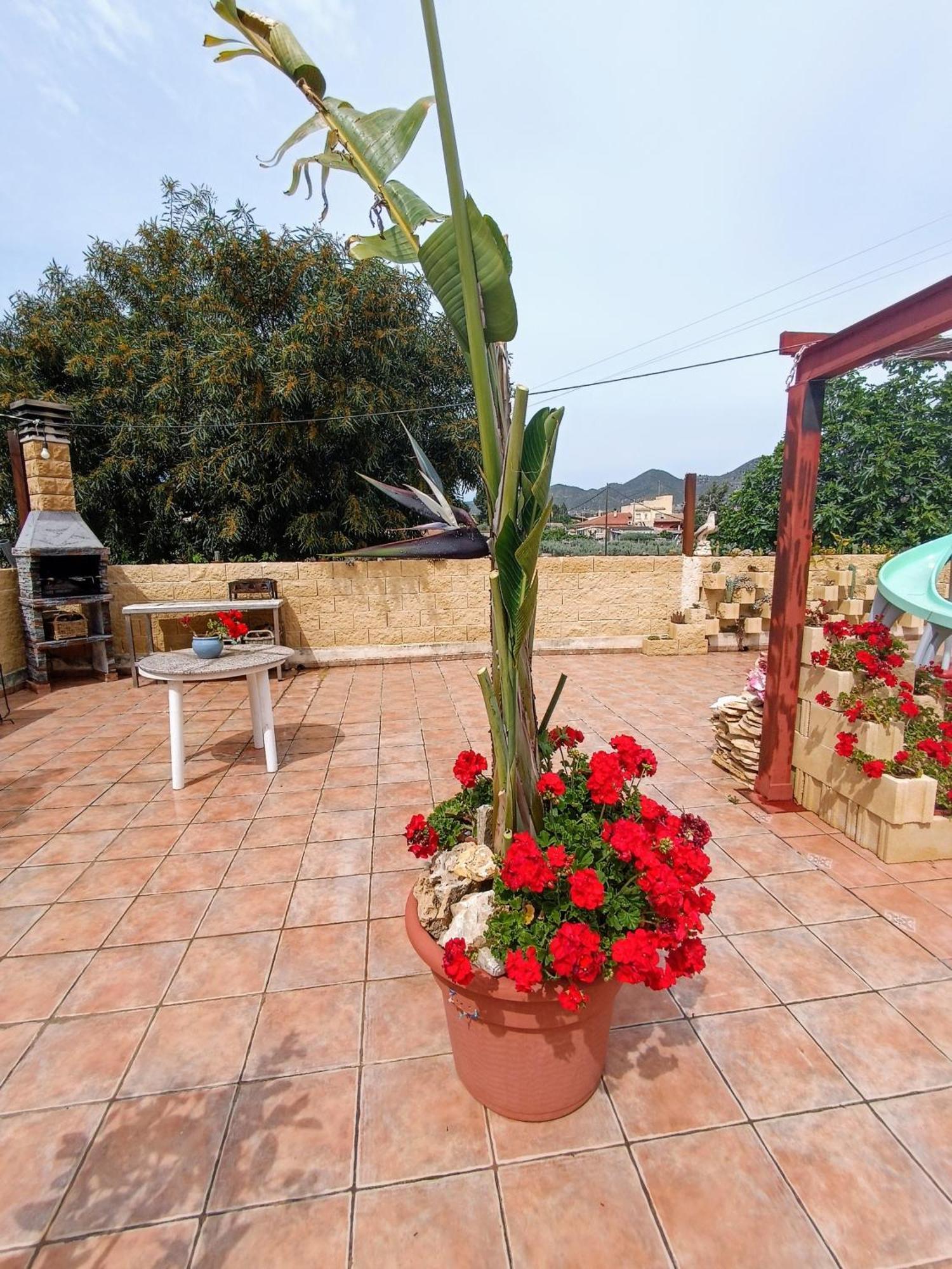 לורקה Casa Chalet Venta Ruizo מראה חיצוני תמונה
