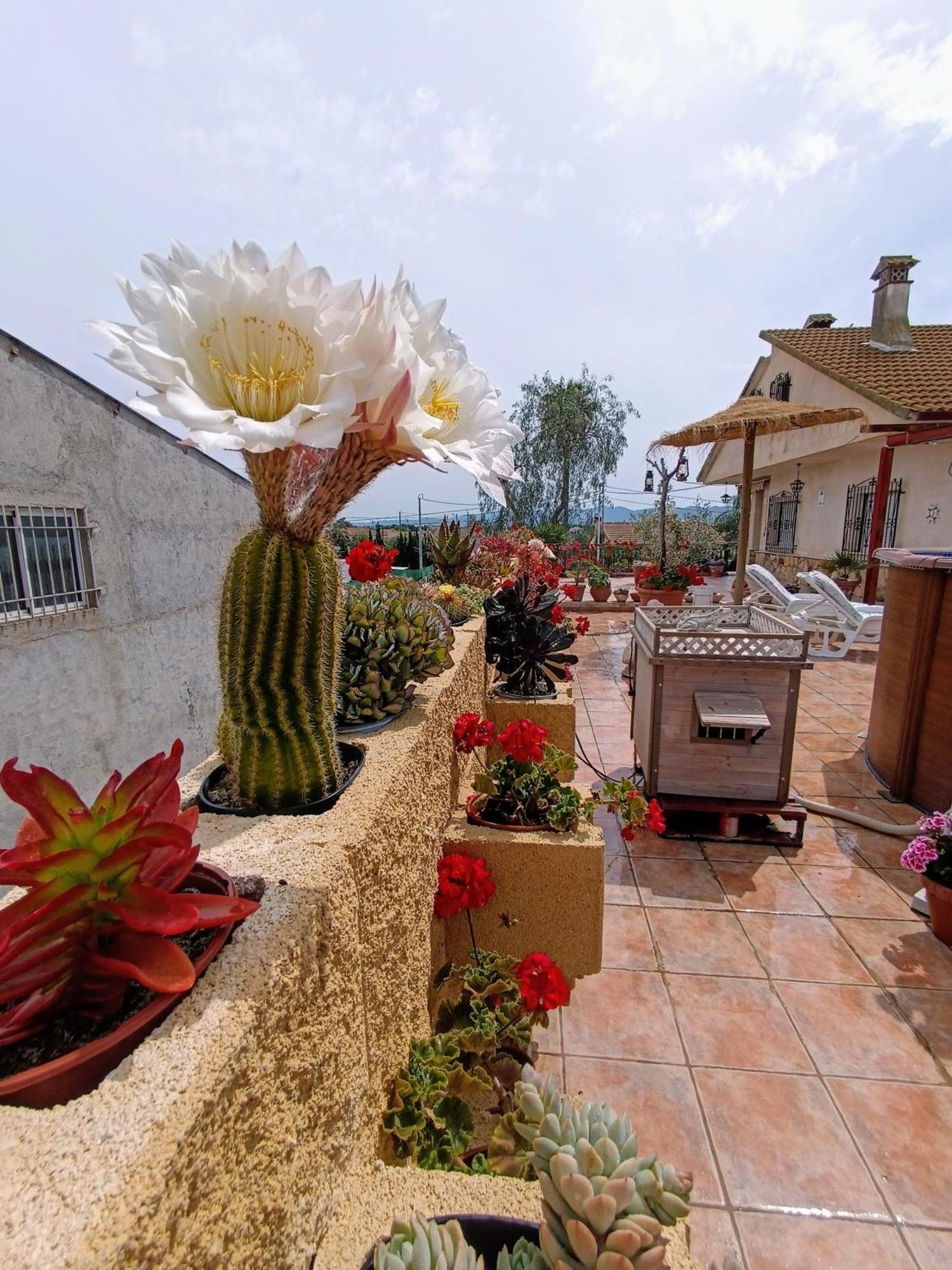 לורקה Casa Chalet Venta Ruizo מראה חיצוני תמונה